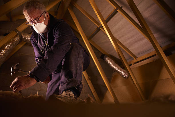 Types of Insulation We Offer in Glenwood, MN